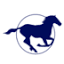 Ride Worldwide logo